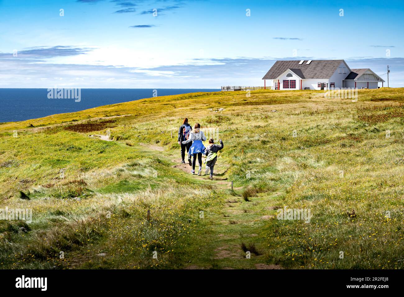 Famiglia in vacanza che corre attraverso un campo erboso che si affaccia alte scogliere e l'Oceano Atlantico a Cape St.. Mary's Ecological Reserve Terranova può Foto Stock