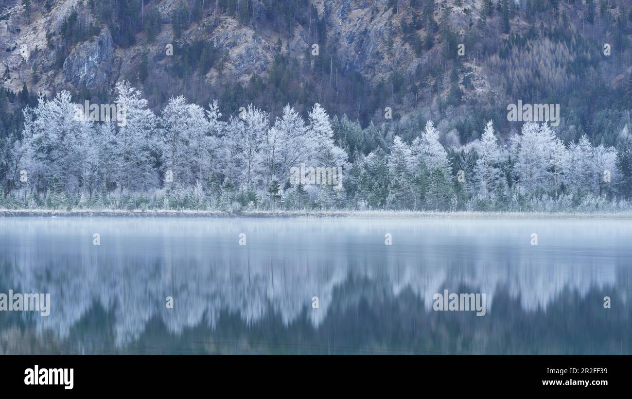 Inverno al Offensee vicino Ebensee, Austria superiore, Austria. Foto Stock