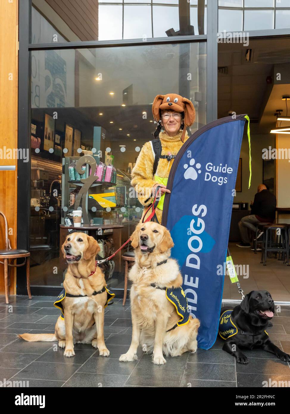 La nuca di Karin si ferma per un caffè a Warrington durante la sua passeggiata di 1000 miglia da John o’Groats a Lands End vestita come un cane da pelliccia per aiutare i cani guida per il Foto Stock