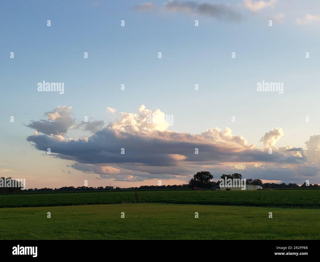 Terreno agricolo campo aperto cielo nuvole crepuscolo e sole Bratt FL Escambia County Foto Stock