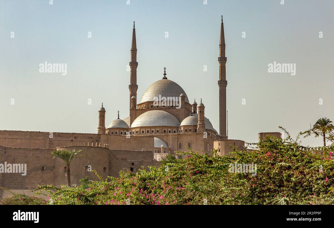 Cupole e minareti della Grande Moschea di Muhammad Ali Pasha, la Cittadella, il Cairo Foto Stock