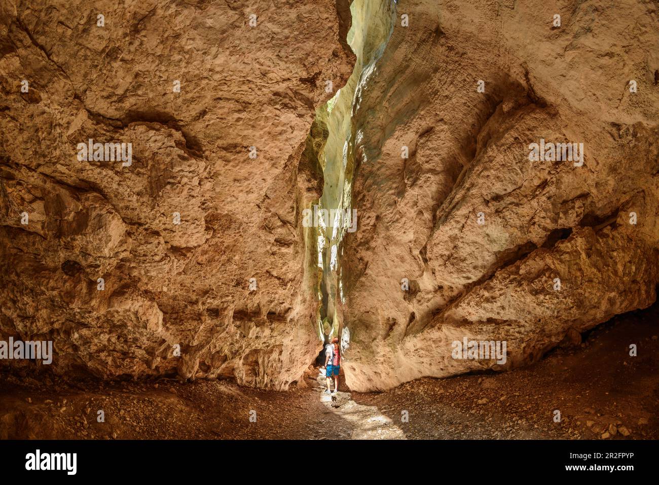 Donna mentre trekking si trova di fronte a uno stretto crepaccio nelle gole di Regalon, Gorges de Regalon, Parco Naturale del Luberon, Vaucluse, Provenza-Alpi-Costa Azzurra Foto Stock