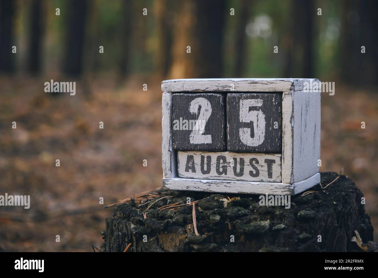 Agosto 25 mese estivo, calendario in legno con data e mese in foresta Foto Stock