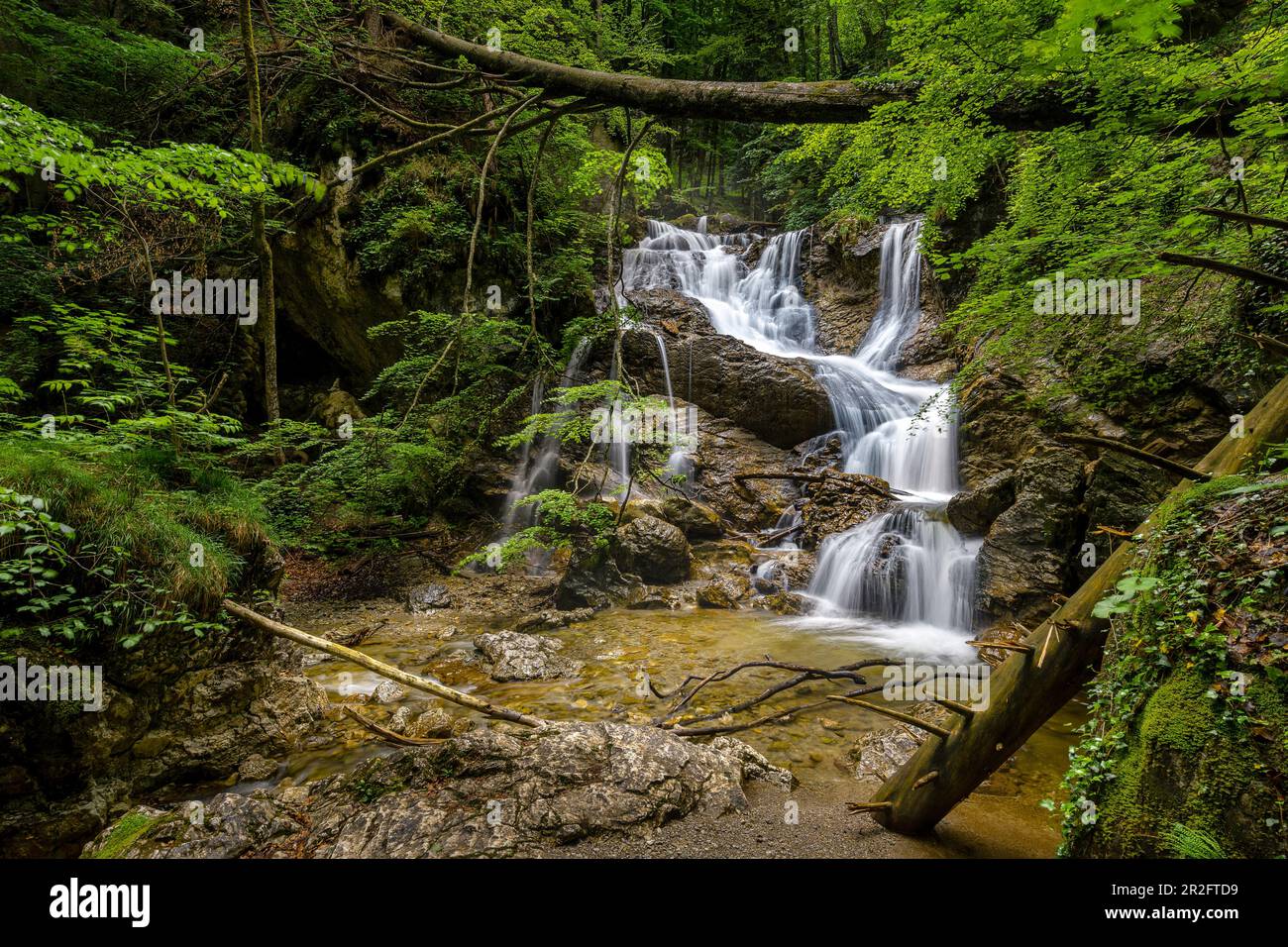 Escursione estiva a Lainbach, Kochel am See, Germania Foto Stock