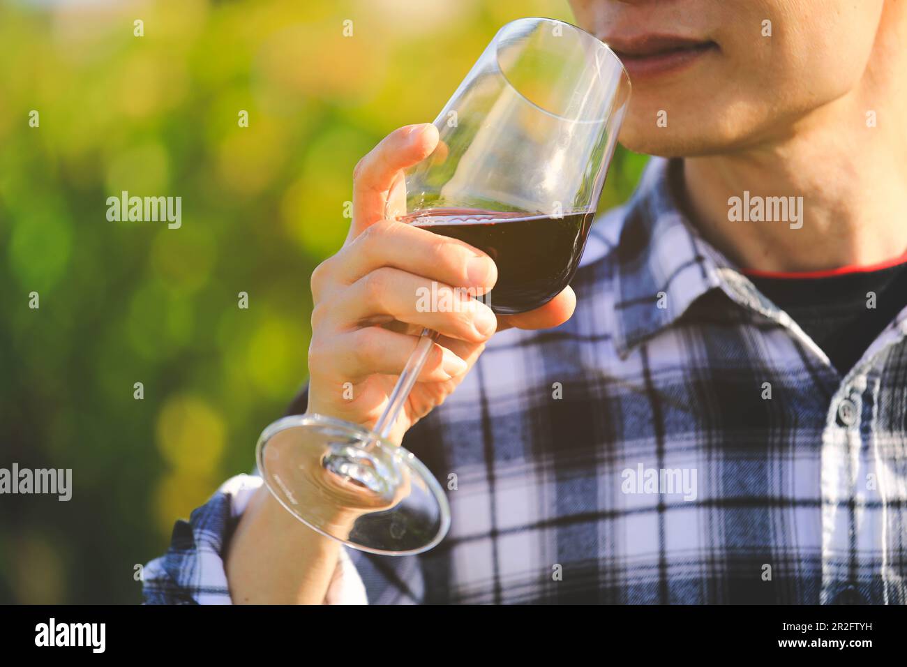 Attenzione selettiva al bicchiere di vino, uomo che tiene il bicchiere di vino rosso con sfondo verde naturale, concetto di celebrazione Foto Stock