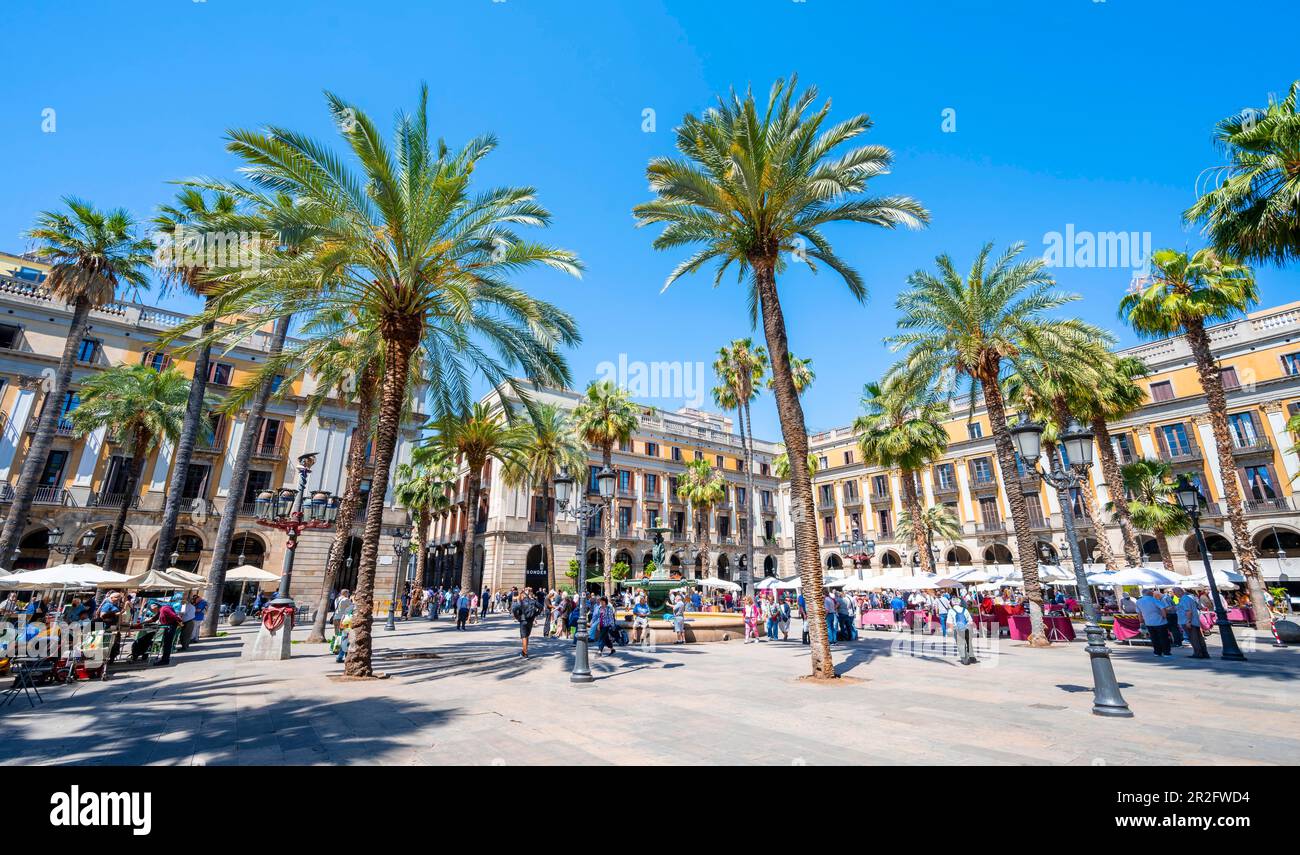 Plaza Reial, Piazza reale, Barcellona, Catalogna, Spagna Foto Stock