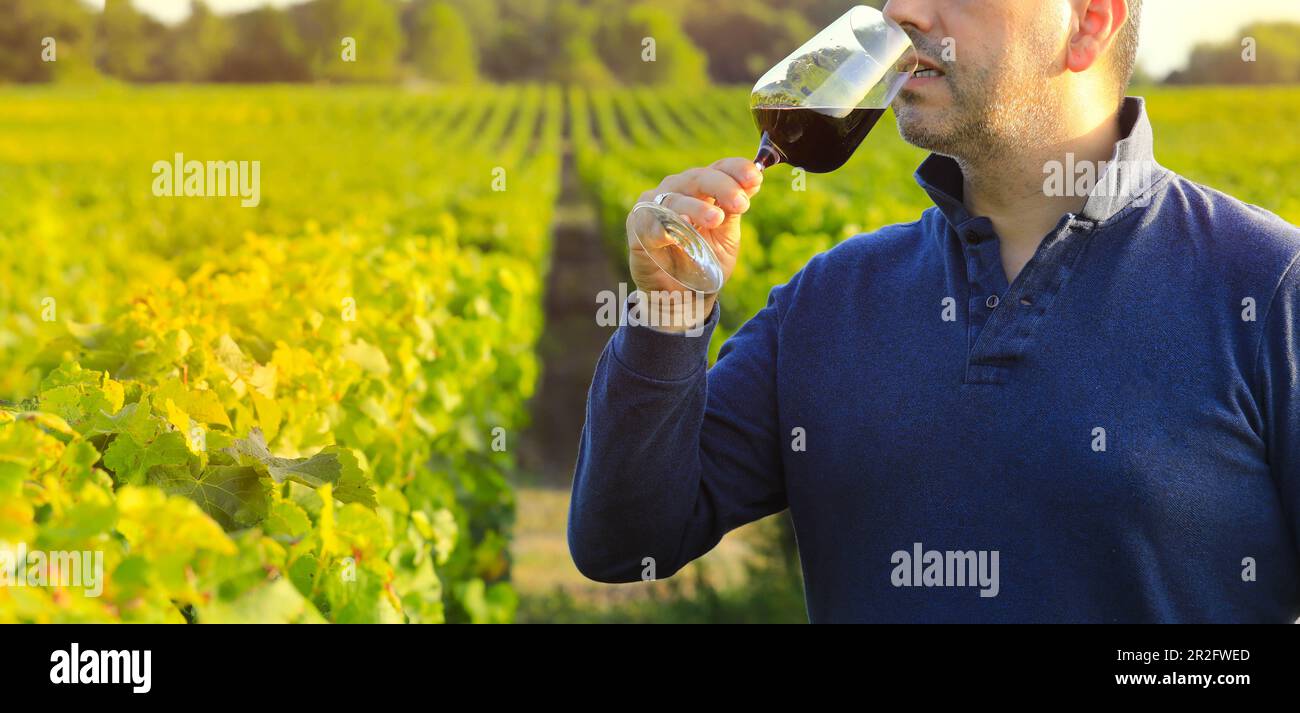 Attenzione selettiva al bicchiere di vino, uomo che tiene il bicchiere di vino rosso con sfondo verde naturale, concetto di celebrazione Foto Stock