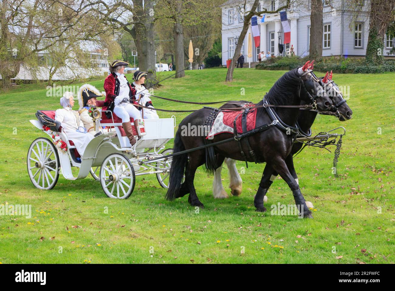 Carrozza trainata da cavalli, Lustike Festtage, rievocazione di una storica città tenda in epoca napoleonica intorno al 1800 con artisti amatoriali in storia Foto Stock