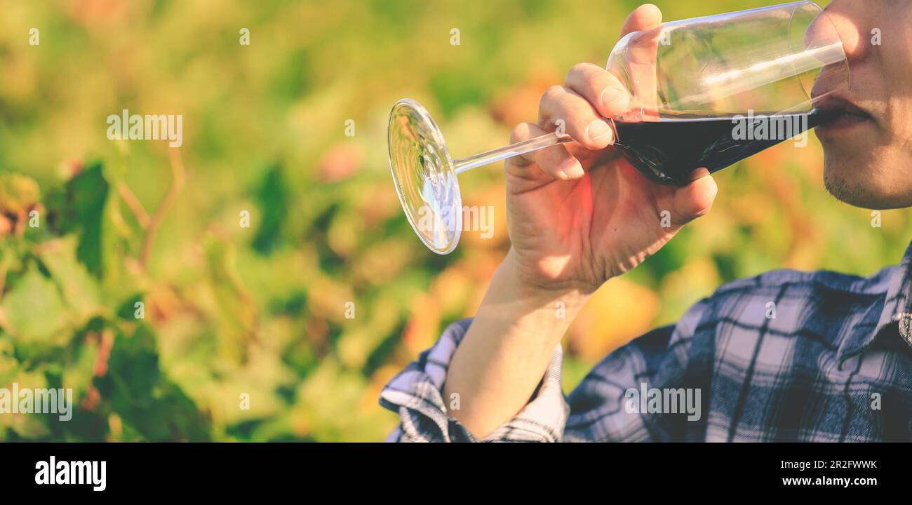 uomo con bicchiere di vino rosso con sfondo verde natura, concetto di celebrazione Foto Stock