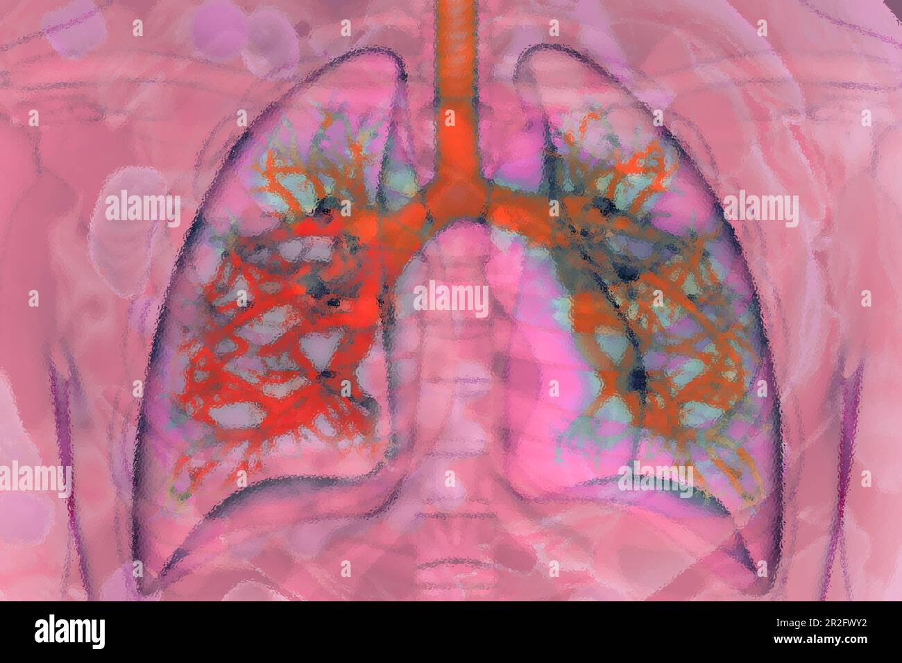 Illustrazione dei polmoni i polmoni sono l'organo nel nostro corpo che assicura che l'ossigeno vitale dall'aria che respiriamo entri nel nostro sangue Foto Stock