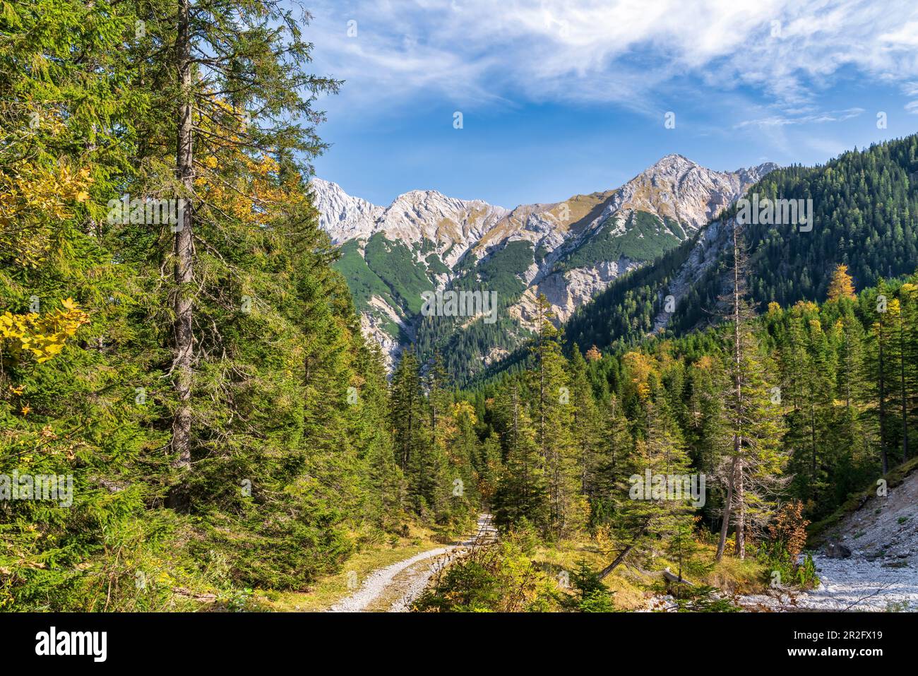 Discesa dal Kleiner Ahornboden con vista sul gruppo di falco autunnale, Hinterriß, Tirolo, Austria Foto Stock