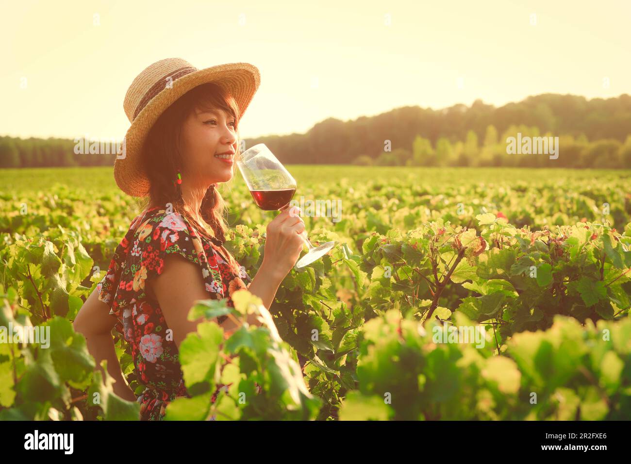 Giovane donna asiatica degusta vino al vigneto della regione di Bordeaux durante il tramonto in Francia Foto Stock