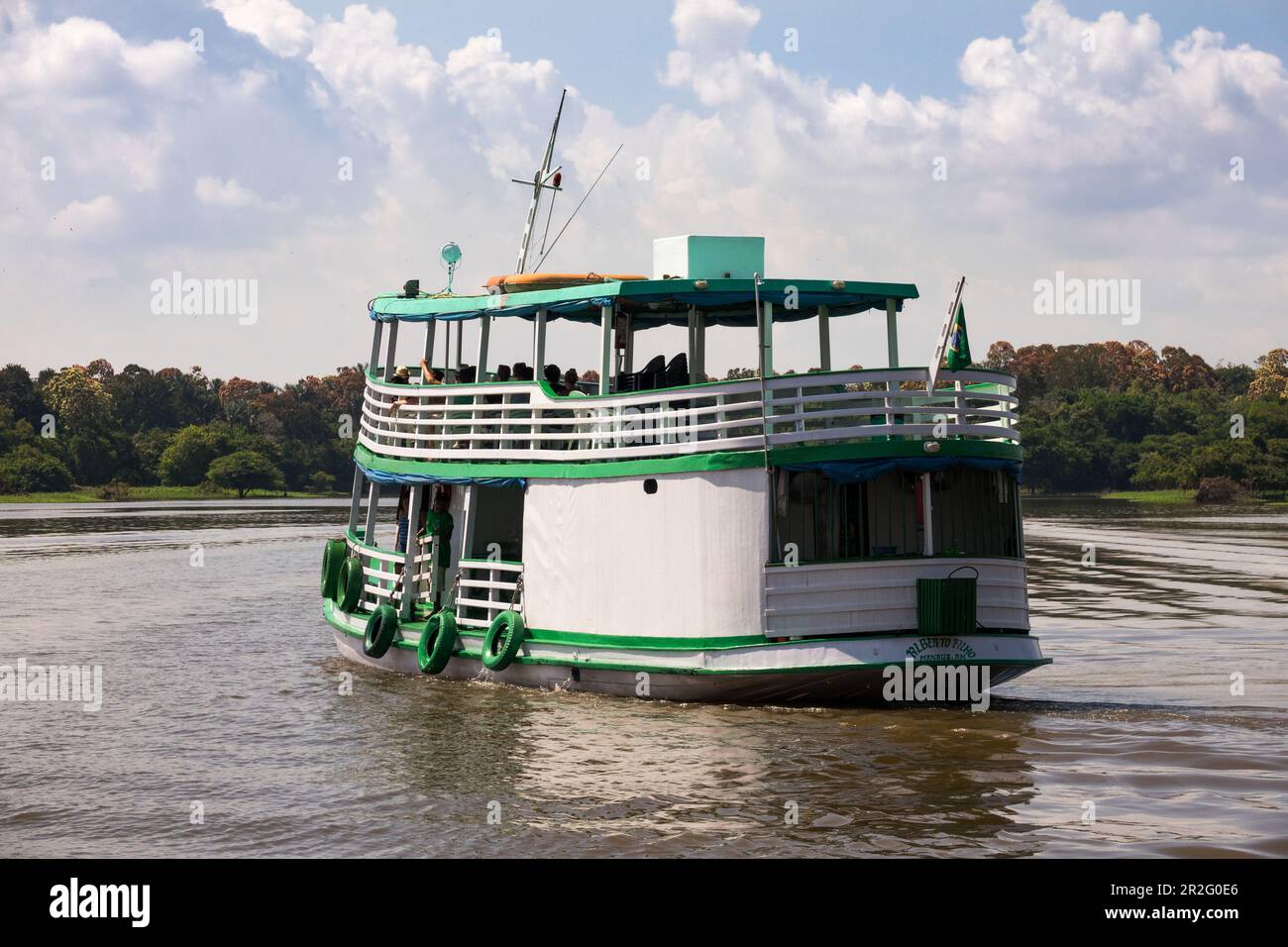 Amazon pirata in Amazzonia, Bacino dell'Amazzonia, Brasile, Sud America Foto Stock