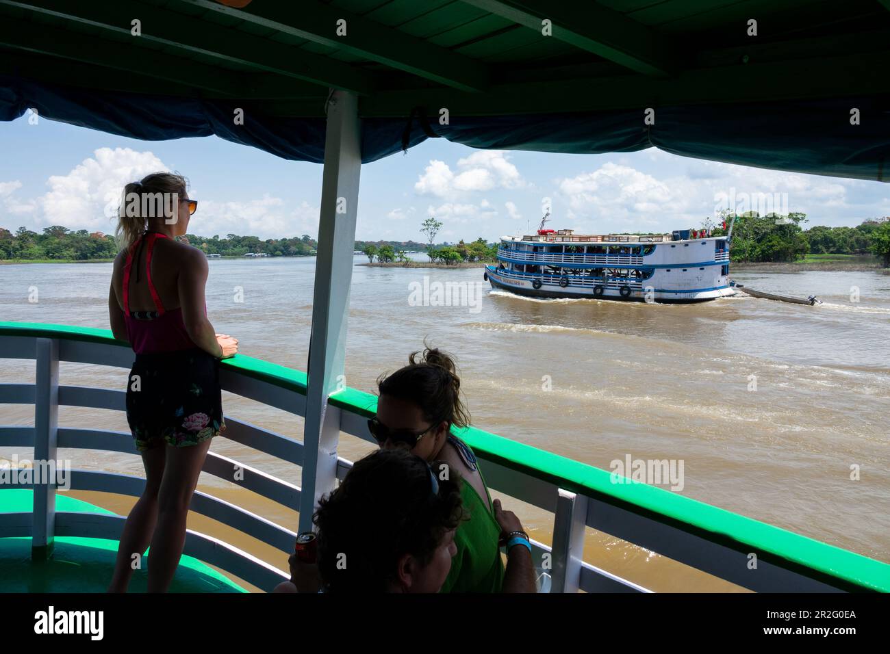 Amazon pirata in Amazzonia, Bacino dell'Amazzonia, Brasile, Sud America Foto Stock