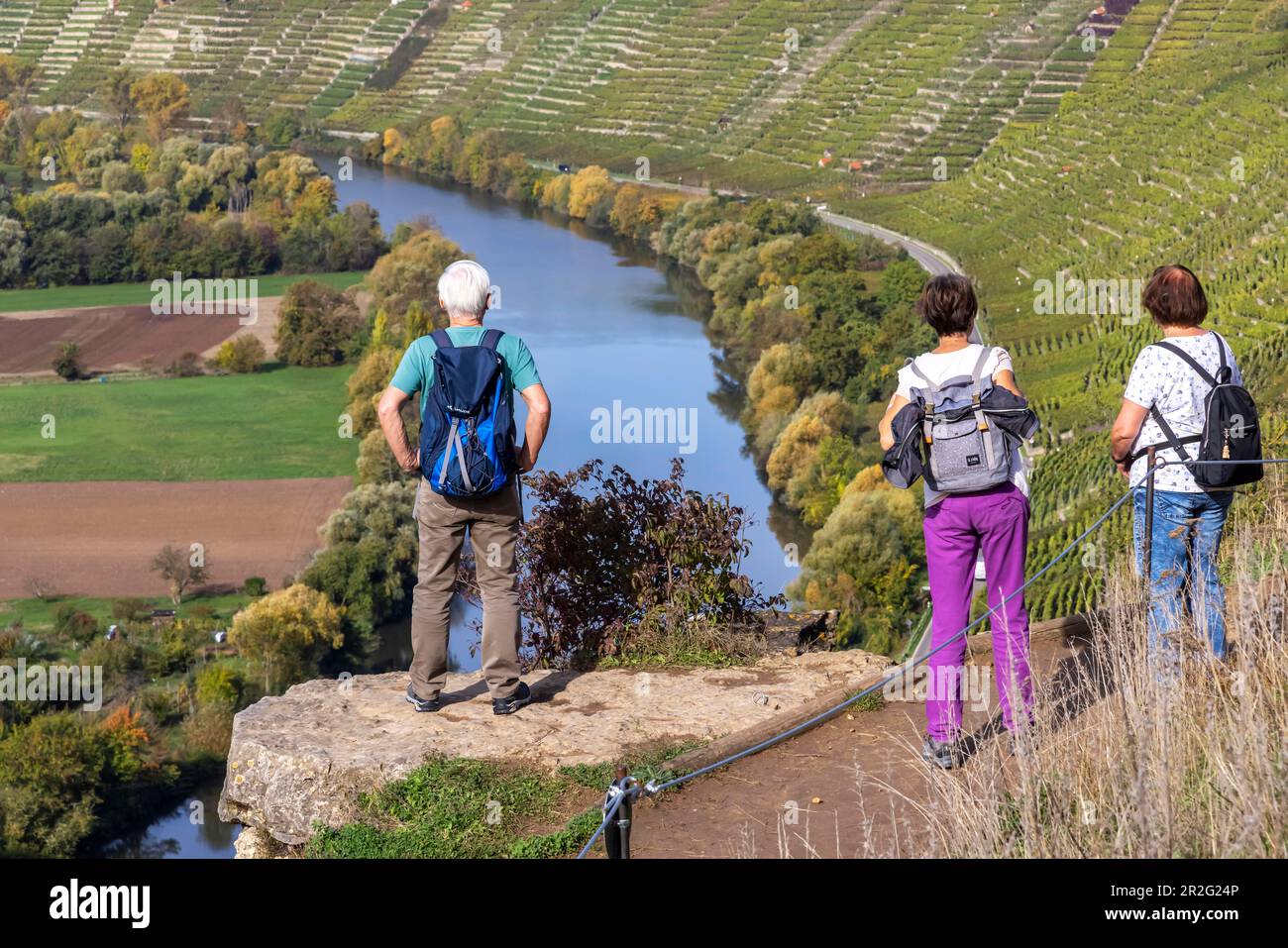 Hessigheim giardini rocciosi, geotope tra vigneti e fiume Neckar, arrampicata, Hessigheim, Baden-Wuerttemberg, Germania Foto Stock