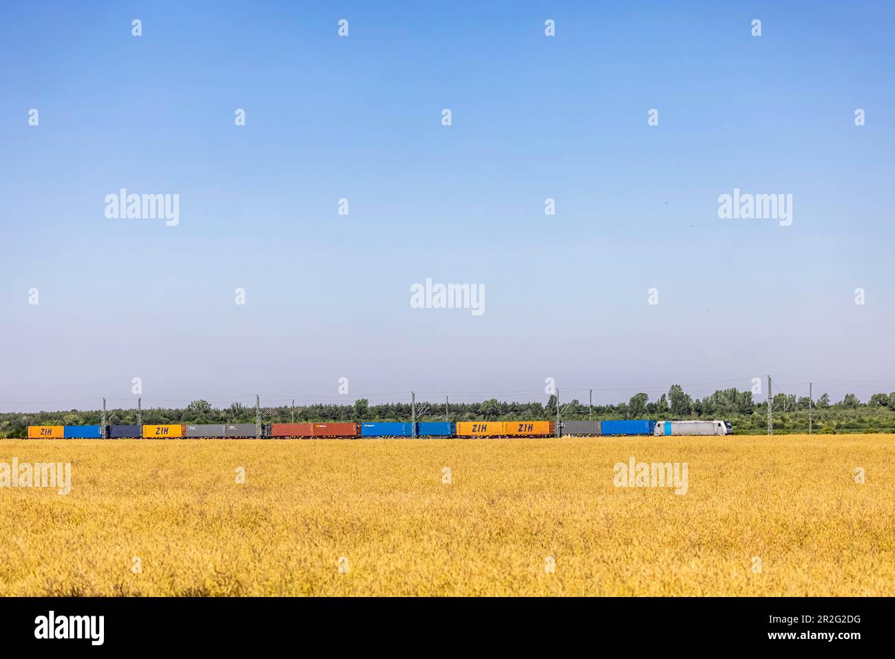 Treno merci su un binario aperto vicino Graefenhainichen, Sassonia-Anhalt, Germania Foto Stock