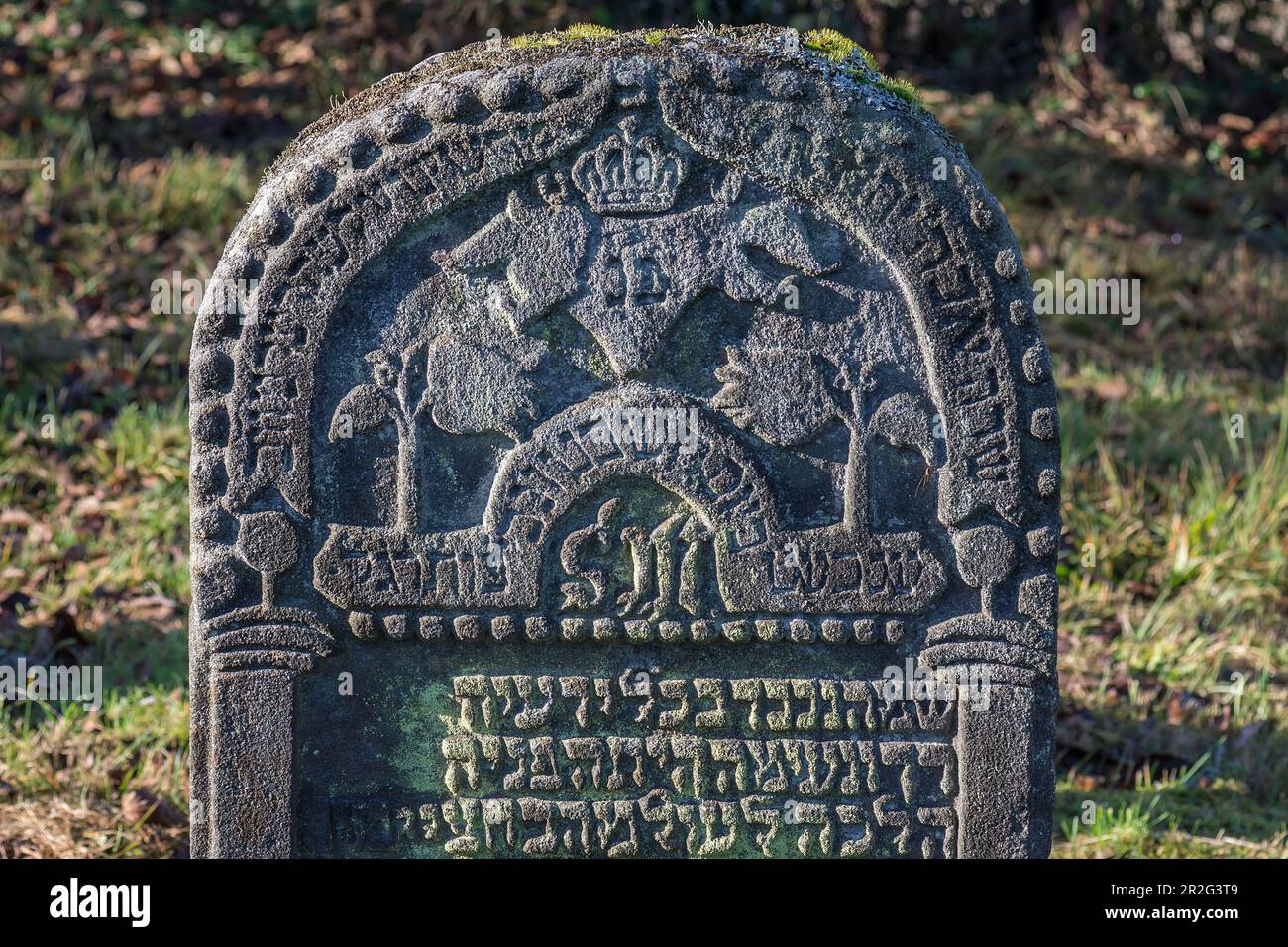 Simboli ebraici su una lapide, storico cimitero ebraico, questo luogo di sepoltura è stato occupato dal 1737 al 1934, Hagenbach, alta Franconia, Baviera Foto Stock