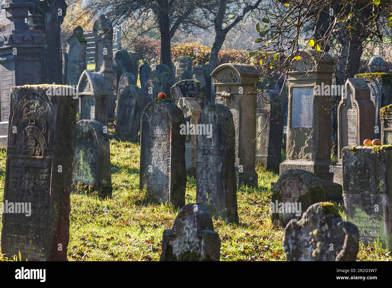 Storico cimitero ebraico, questo luogo di sepoltura è stato occupato dal 1737 al 1934, Hagenbach, alta Franconia, Baviera, Germania Foto Stock