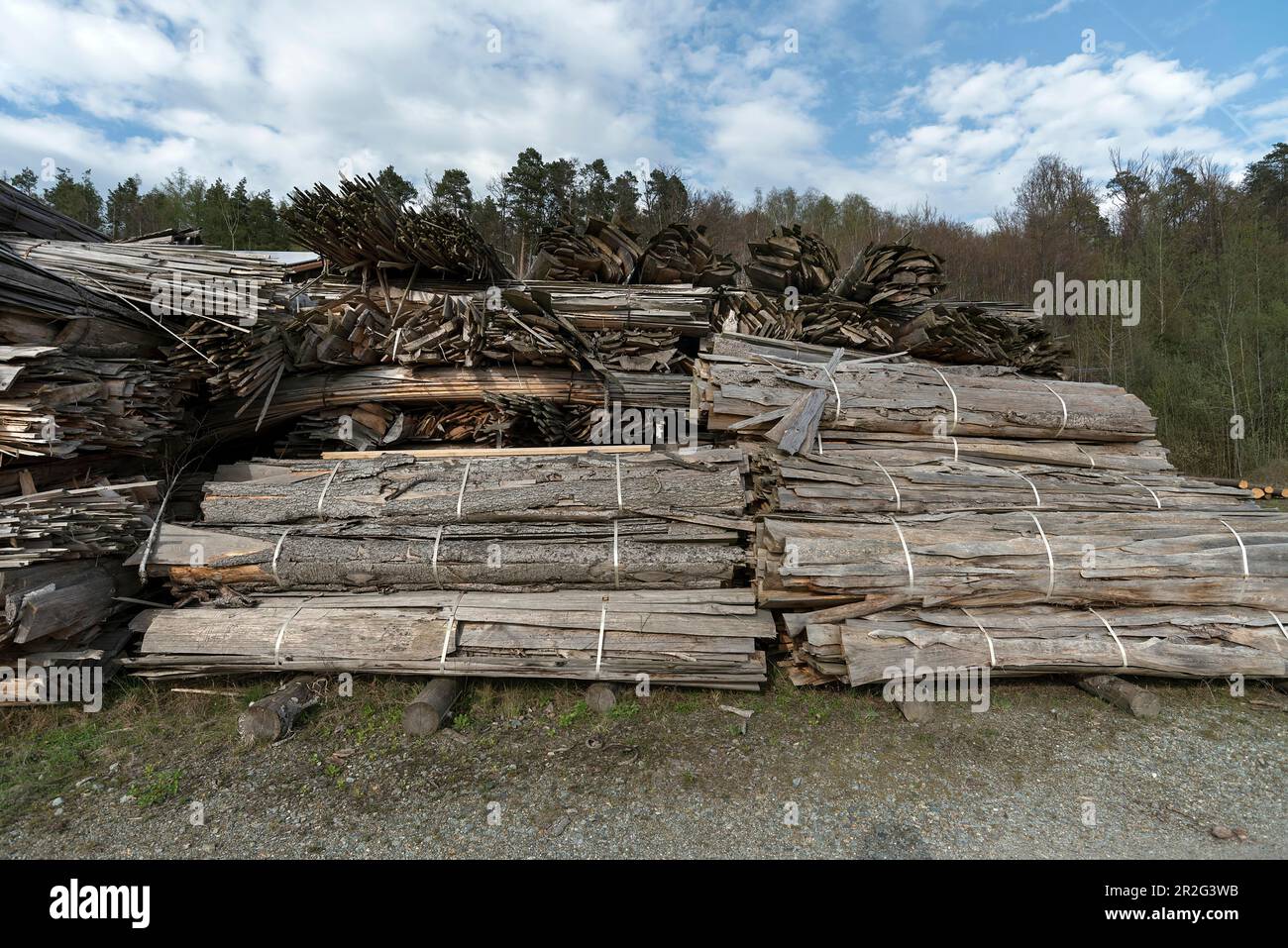 Lastre laminate da segheria, scarti di legno per trucioli, Alto Palatinato, Baviera, Germania Foto Stock