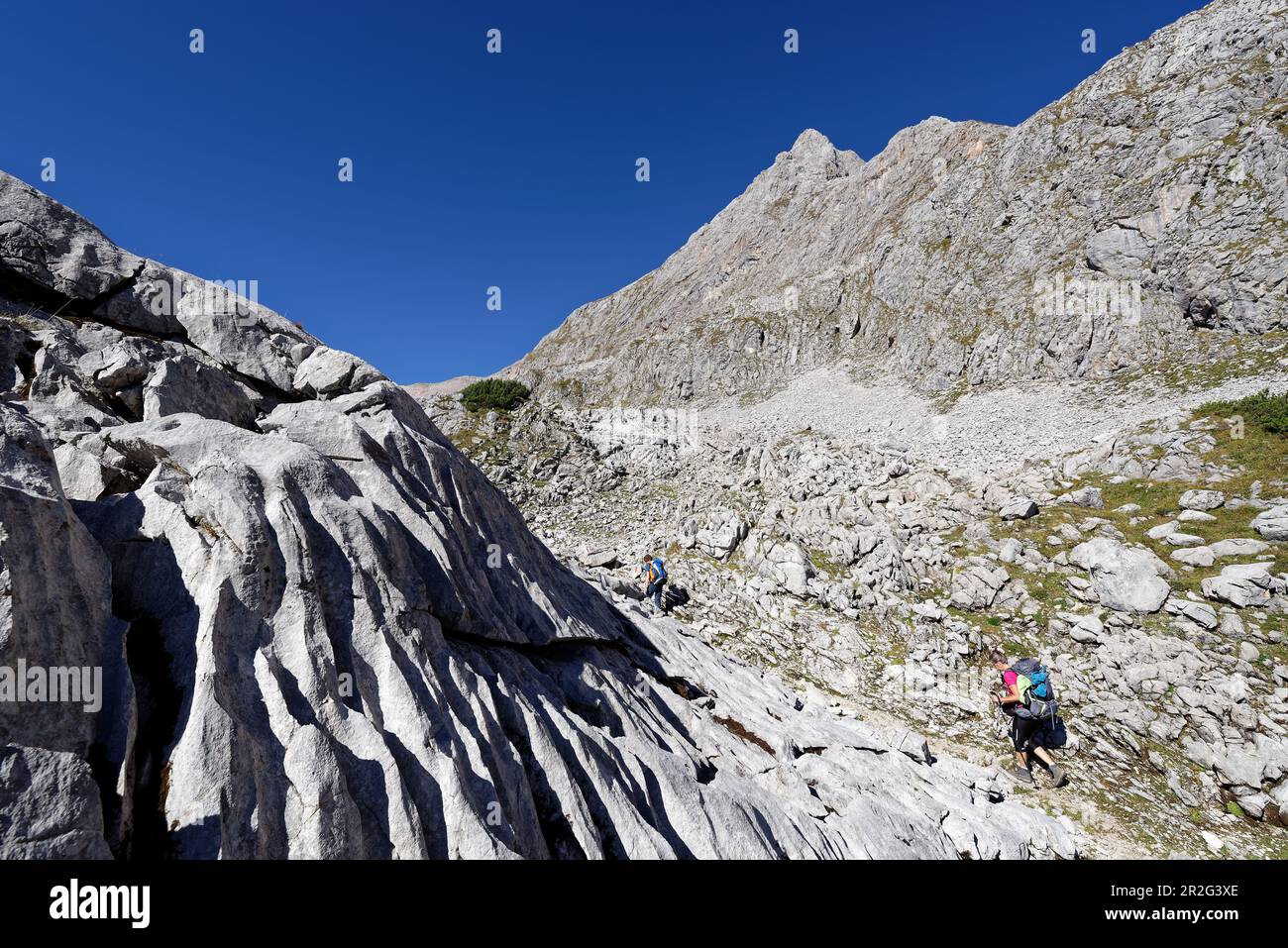 Onde congelate: Sulla strada tra Kärlingerhaus e Ingolstaedter Haus. Al di sopra di questo la grande morte del cane. Foto Stock