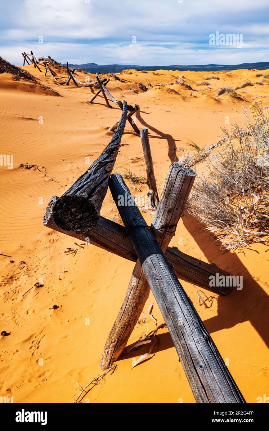 Recinzione del ranch in legno di wormwood, Coral Pink Sand Dunes state Park, Utah, USA Foto Stock