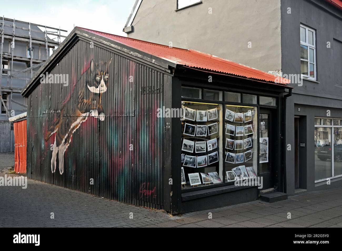 Galleria fotografica con graffiti di gatto sul muro esterno, Reykjavik, Islanda Foto Stock