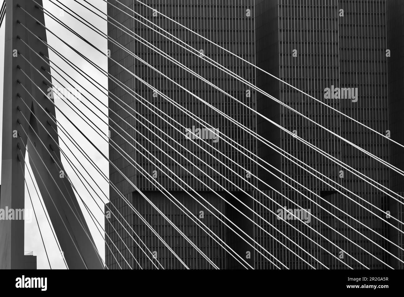 Ponte Erasmus e grattacieli, Rotterdam, Paesi Bassi, Europa Foto Stock