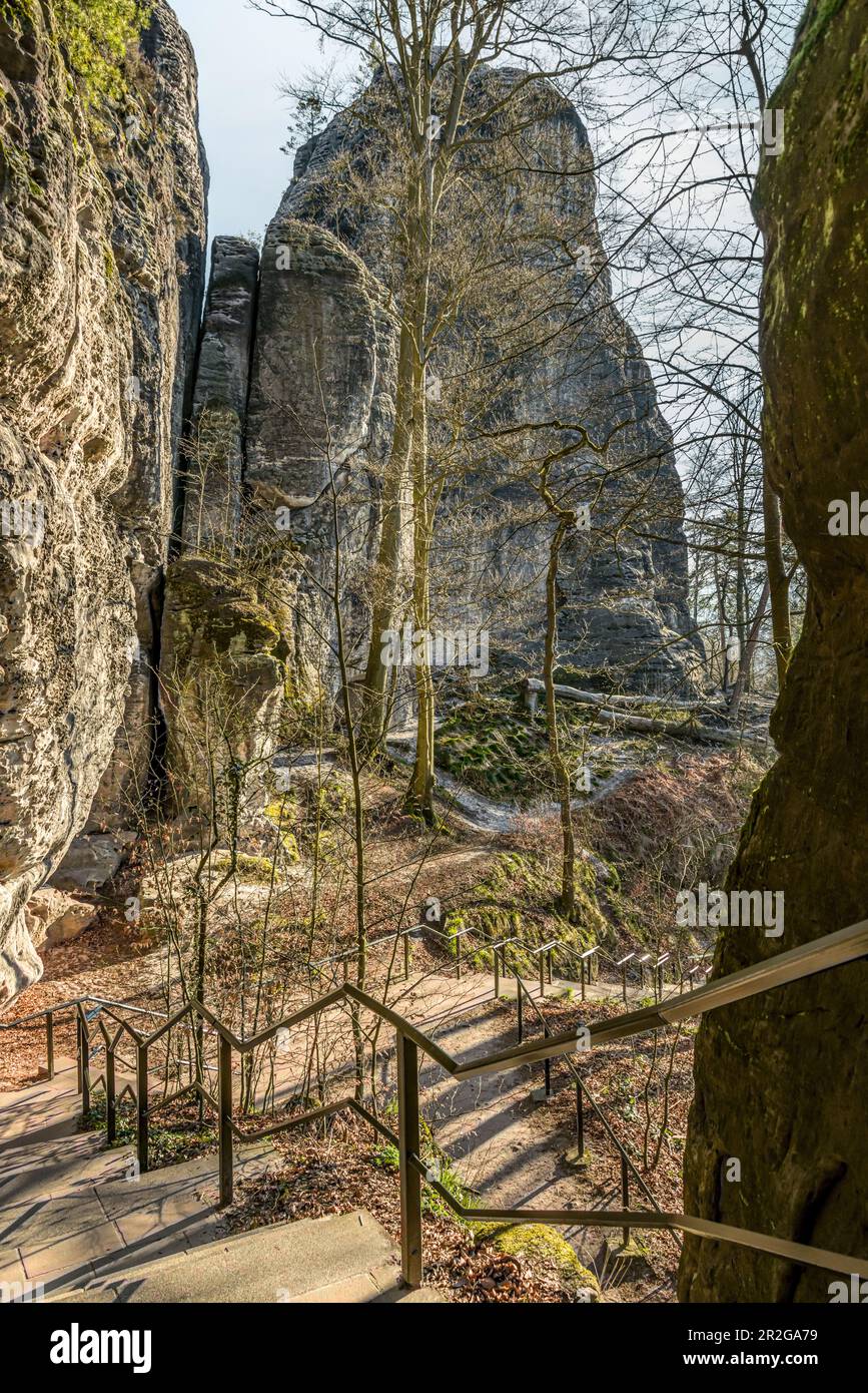 Scale da Rathen al Bastei Felsenbrücke come parte del Malerweg in Svizzera Sassonia, Sassonia, Germania Foto Stock
