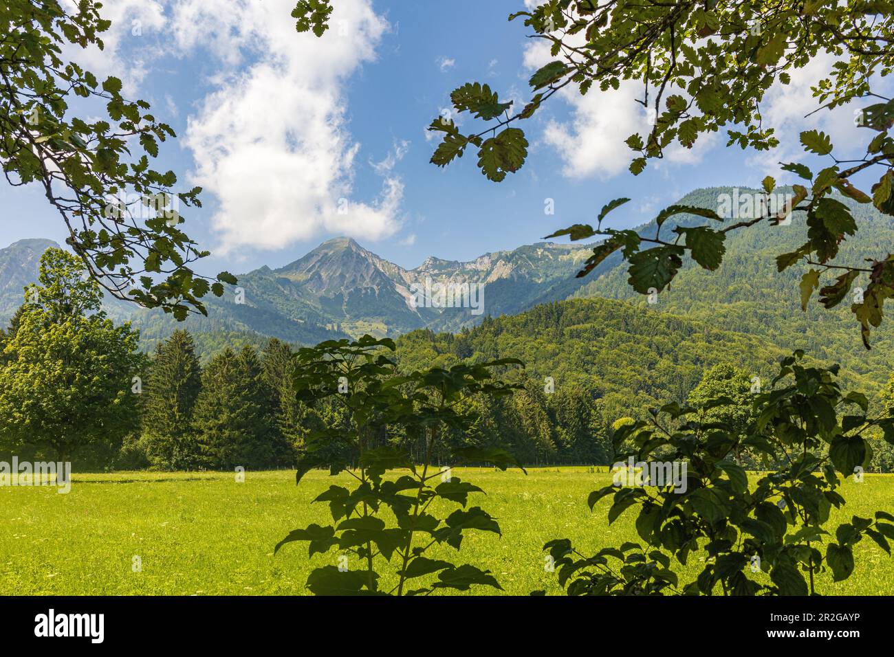 Vista dal basso del Geigelstein, che è leggermente coperto da nuvole. Schleching, Achental, alta Baviera, Baviera, Germania, Europa Foto Stock