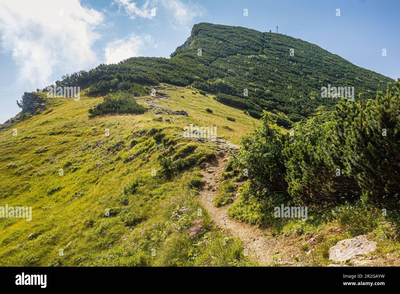 Vertice con croce sommitale del Geigelstein Vista dal basso. Schleching, Alpi del Chiemgau, Chiemgau, Alpi orientali, alta Baviera, Baviera, Germania, Europ Foto Stock