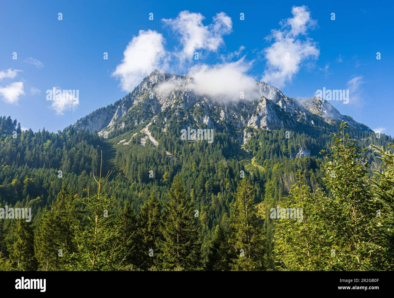 La colonna è avvolta in ciuffi di nube. vista dal basso. Fussen, Allgaeu, Swabia, Baviera, Germania, Europa Foto Stock