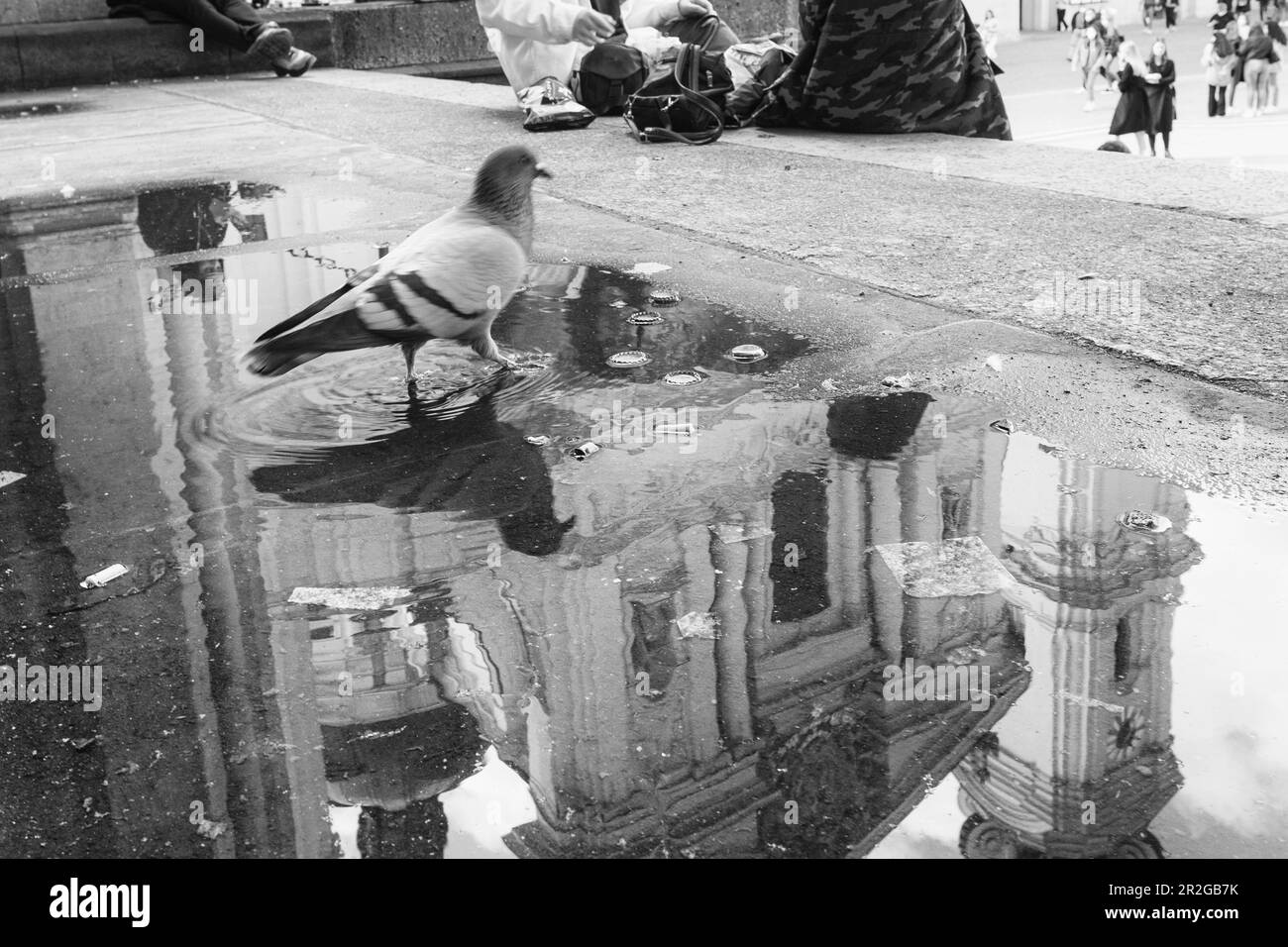 Riflessione della Theaterkirche a Odeonsplatz, Maxvorstadt, Monaco, Baviera, Germania, Europa Foto Stock