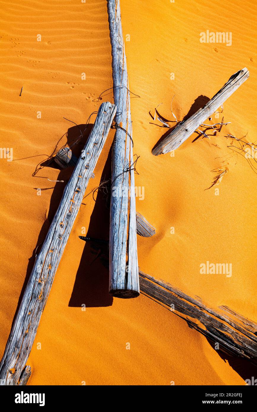 Recinzione del ranch in legno di wormwood, Coral Pink Sand Dunes state Park, Utah, USA Foto Stock