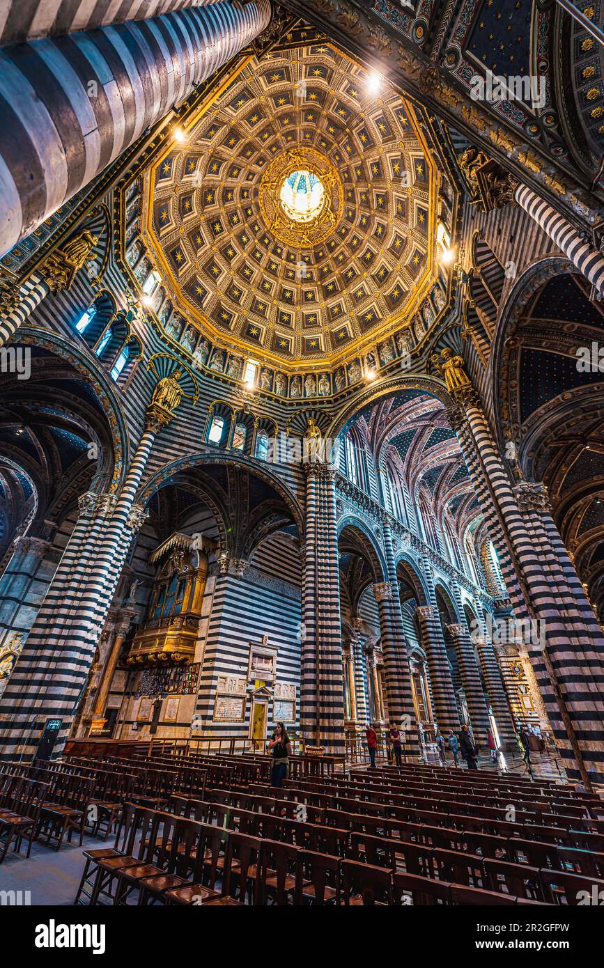 Vista della cupola della Cattedrale di Santa Maria Assunta dall'interno, Siena, Toscana, Italia, Europa Foto Stock