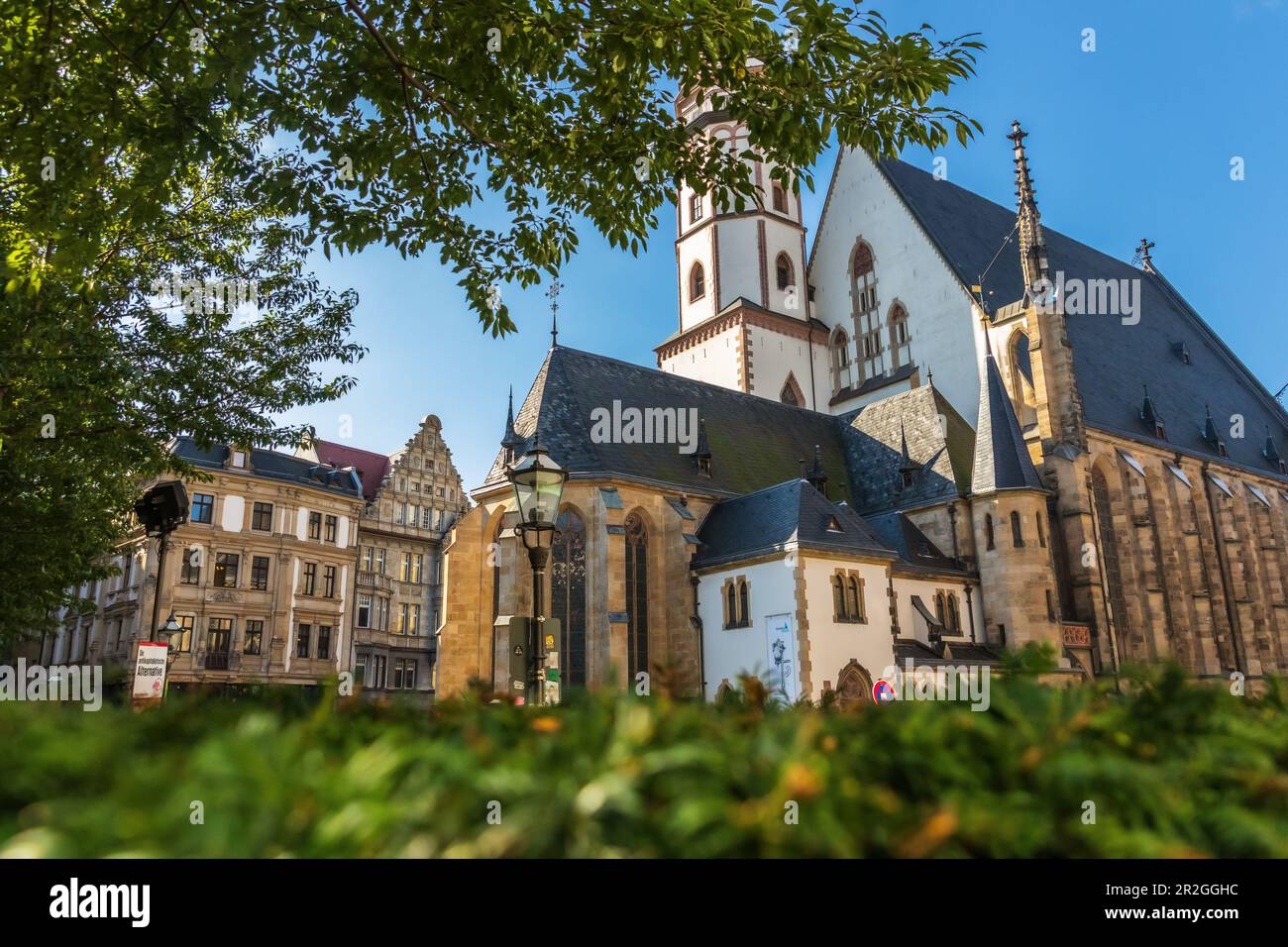 Vista della Thomaskirche a Lipsia, Sassonia, Germania orientale, Germania, Europa Foto Stock