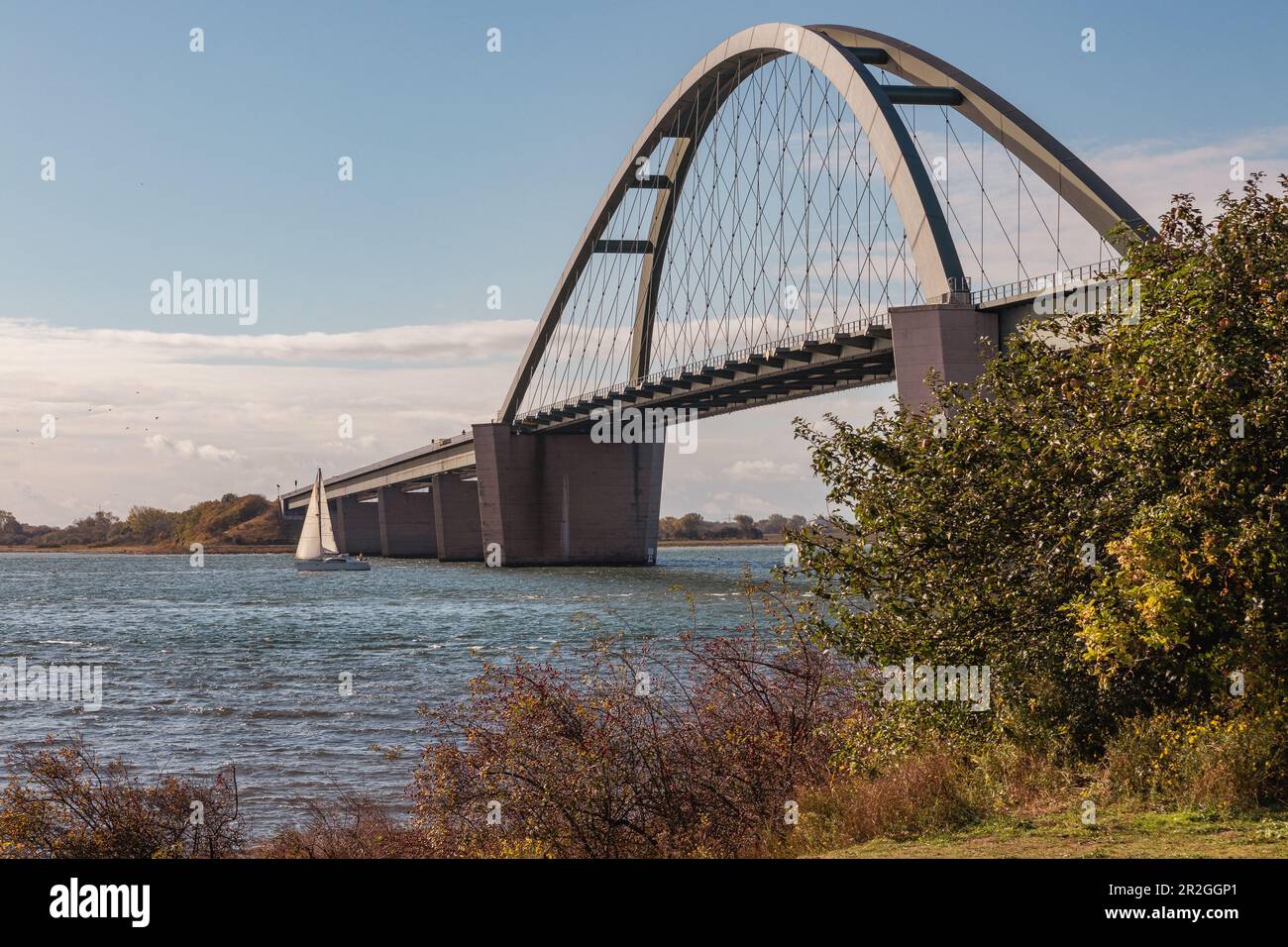 Vista sul Fehmarn Sound Bridge. Una nave a vela naviga sotto il ponte, Fehmarn, Mar Baltico, Ostholstein, Schleswig-Holstein, Germania, Europa Foto Stock