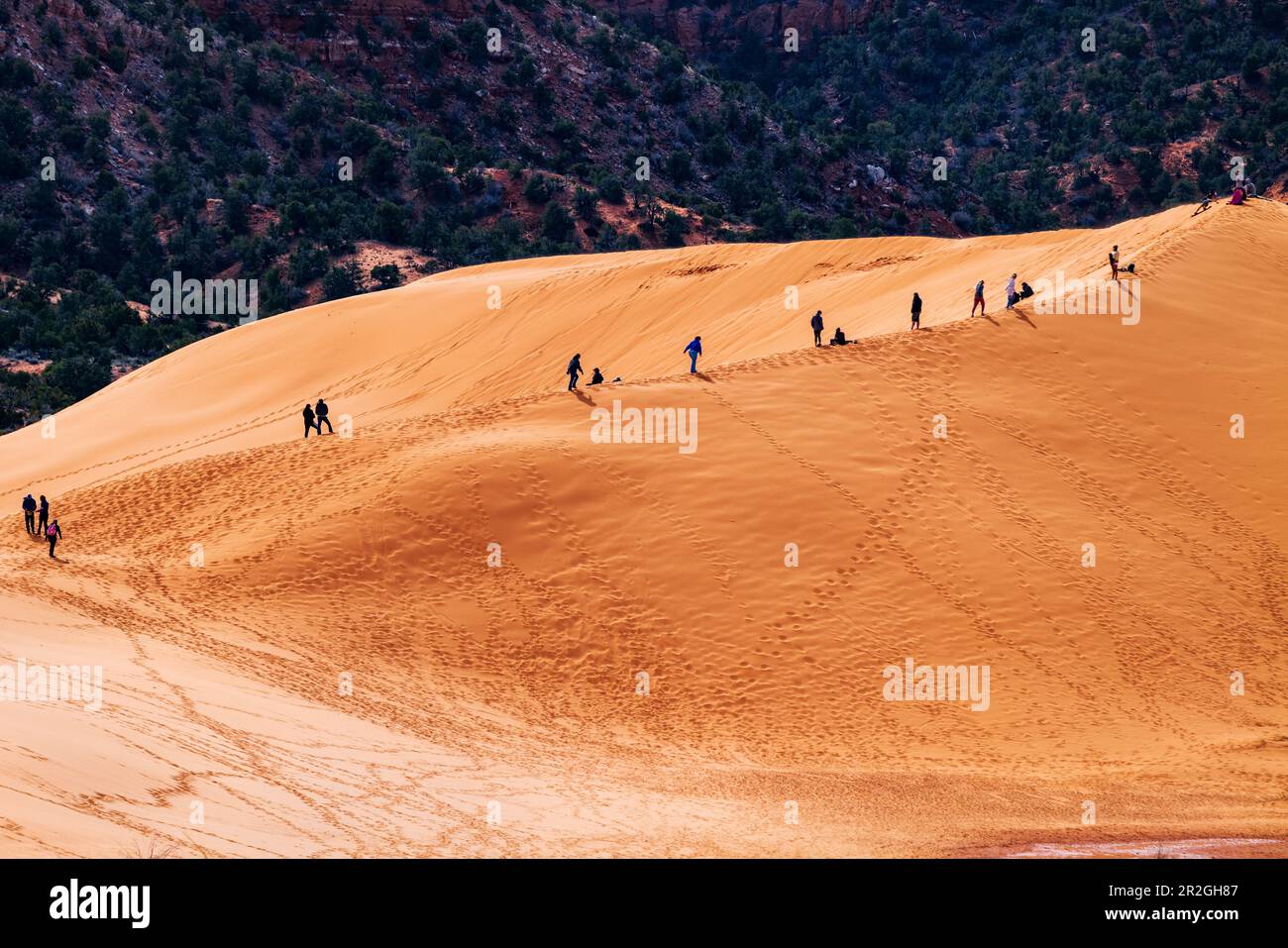 I visitatori che si arrampicano e calano sul Coral Pink Sand Dunes state Park, Utah, USA Foto Stock