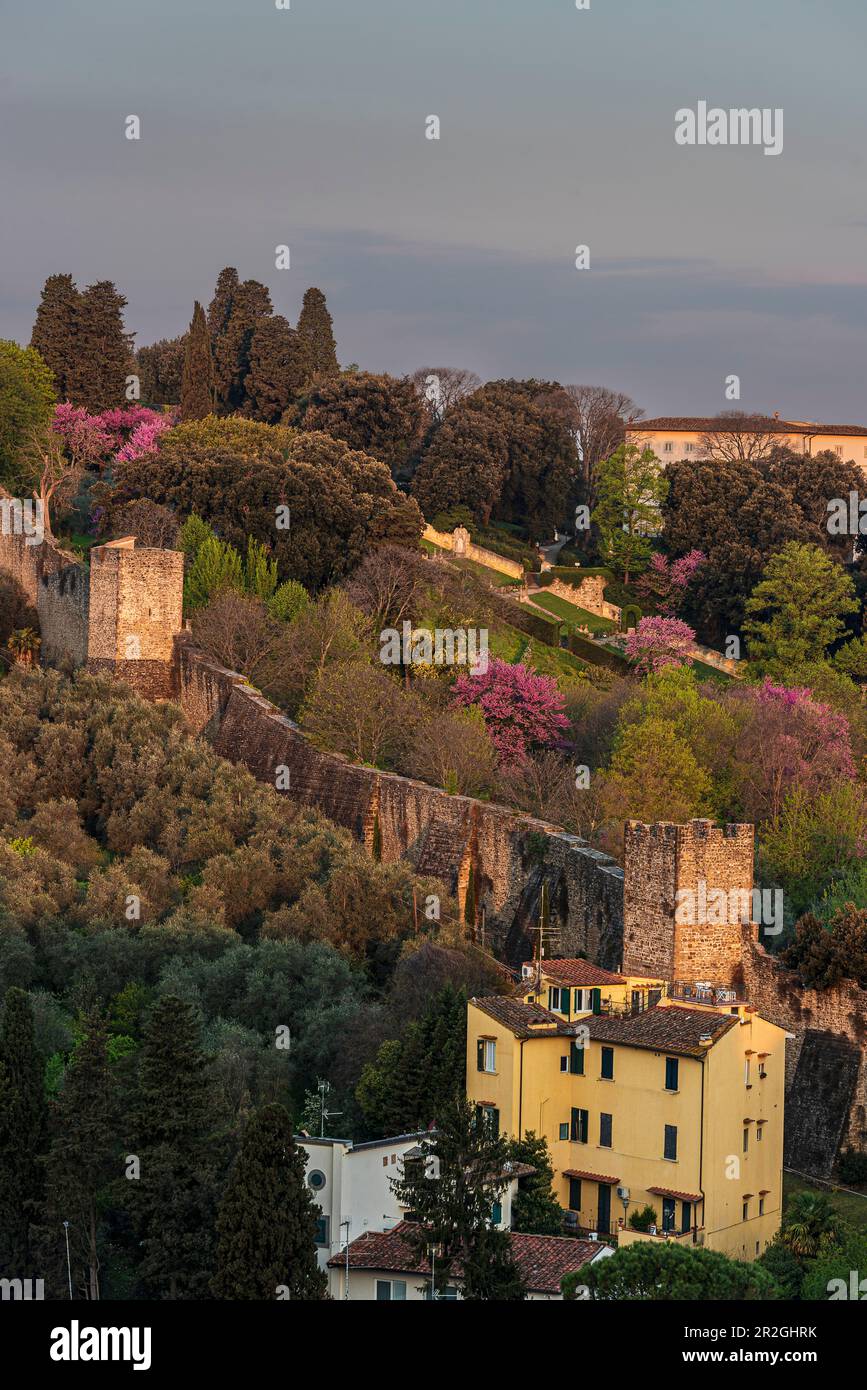 Alberi in fiore al roseto Giardino delle Rose, panorama della città di Firenze sotto da Piazzale Michelangelo, Toscana, Italia, Europa Foto Stock