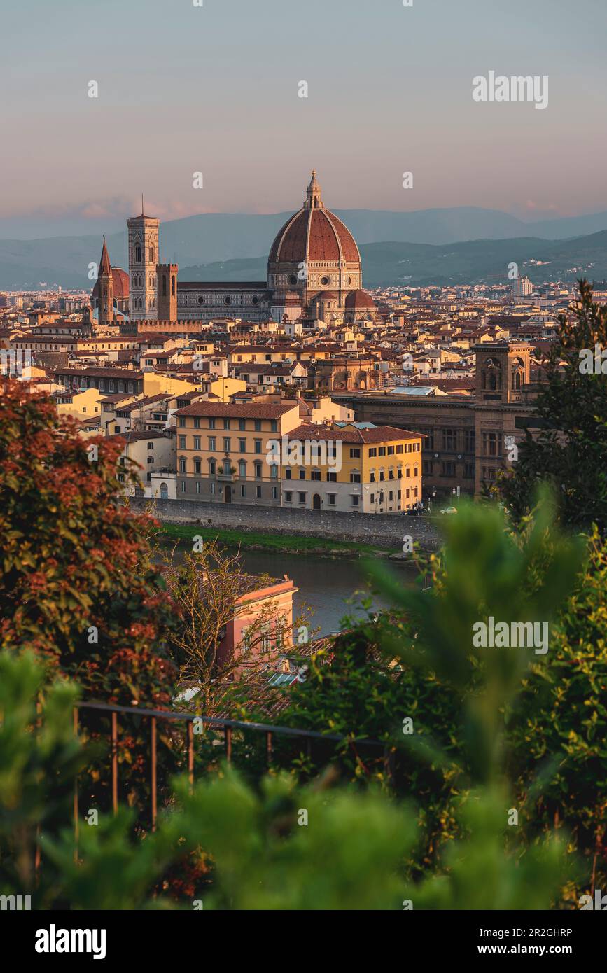 Vista dal roseto Giardino delle Rose, panorama della città di Firenze da Piazzale Michelangelo, Toscana, Italia, Europa Foto Stock
