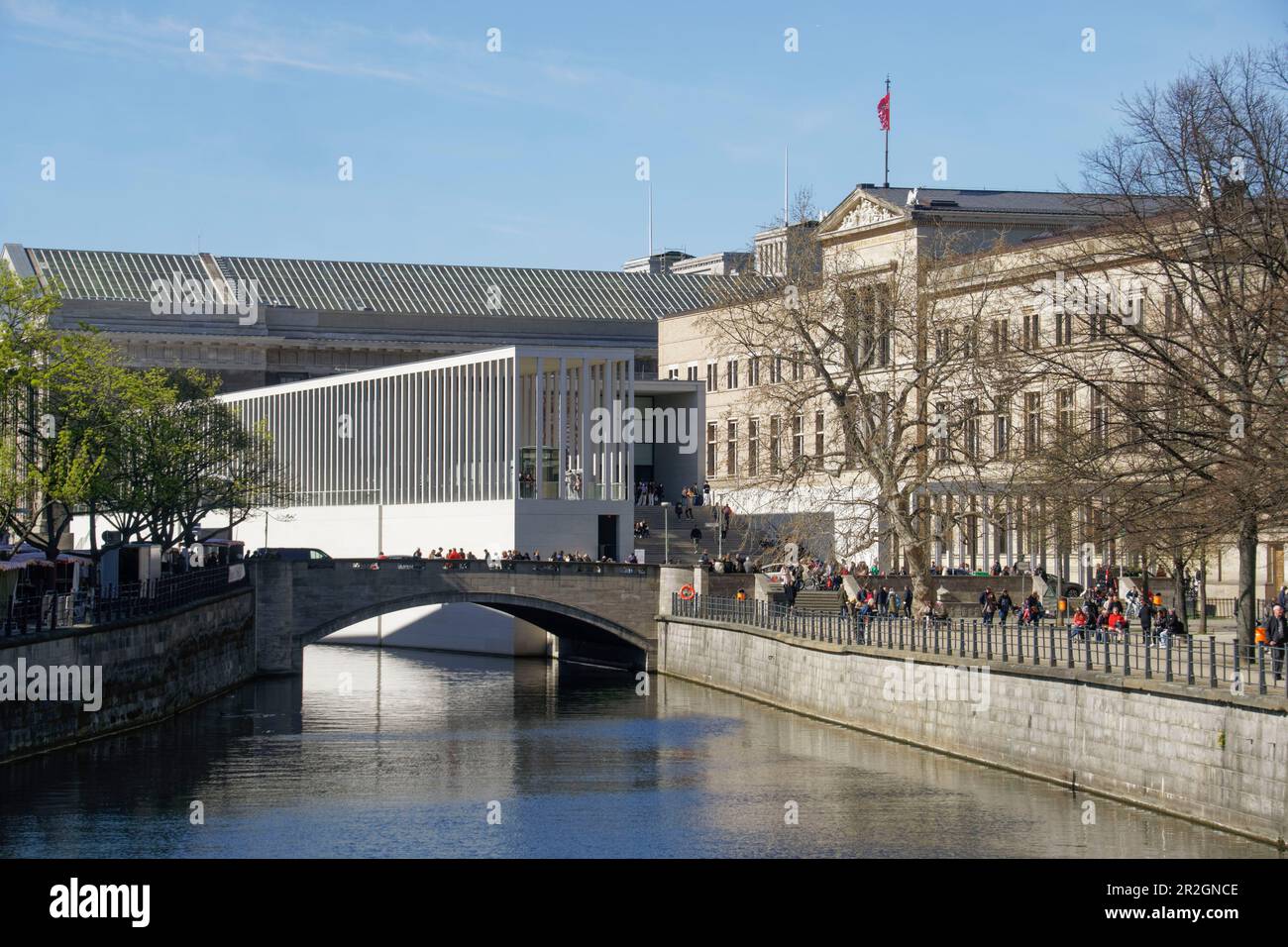 James Simon Gallery, Isola dei Musei, Berlino-Mitte Foto Stock