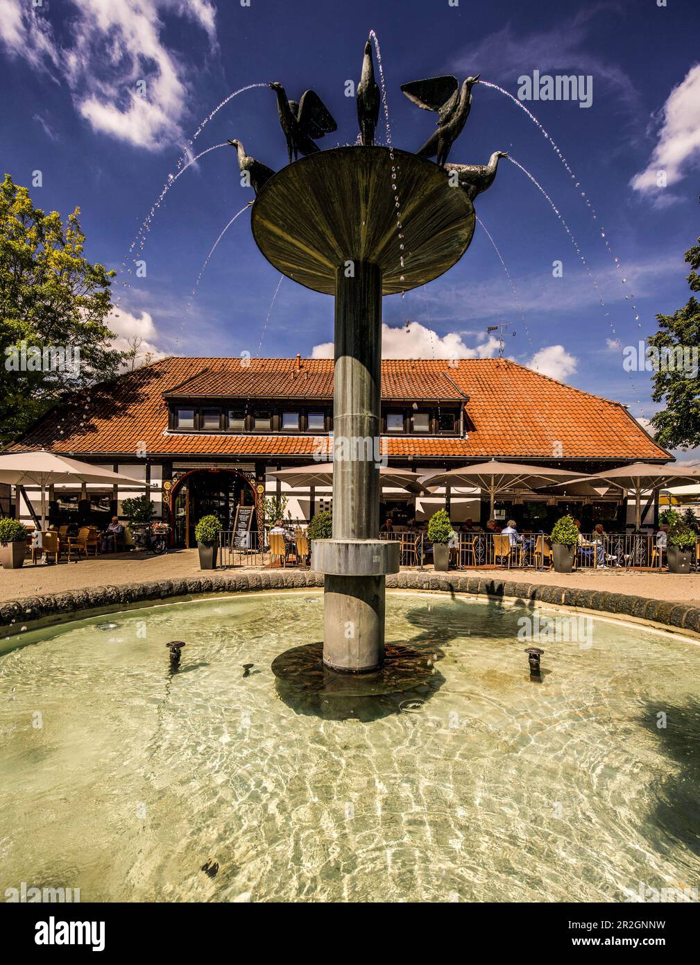 Vogelbrunnen a Sälzerplatz a Bad Sassendorf, distretto di Soest, Renania settentrionale-Vestfalia, Germania Foto Stock