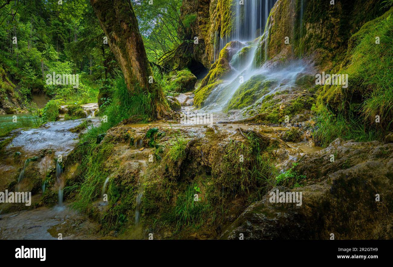 Alle selvagge e romantiche cascate di Schleier nella gola di Ammer vicino a Saulgrub, quartiere di Garmisch-Partenkirchen, ai piedi delle Alpi Bavaresi, alta Baviera Foto Stock