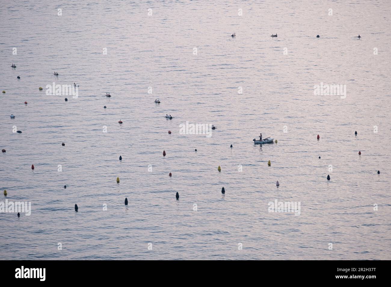 Pescatori nel Golfo di Trieste, Trieste, Friuli Venezia Giulia, Italia Foto Stock