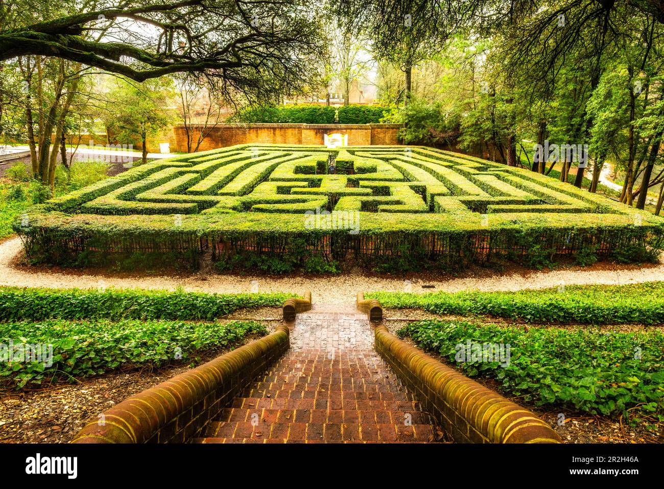 Labirinto di siepi a Williamsburg coloniale, Virginia Foto Stock