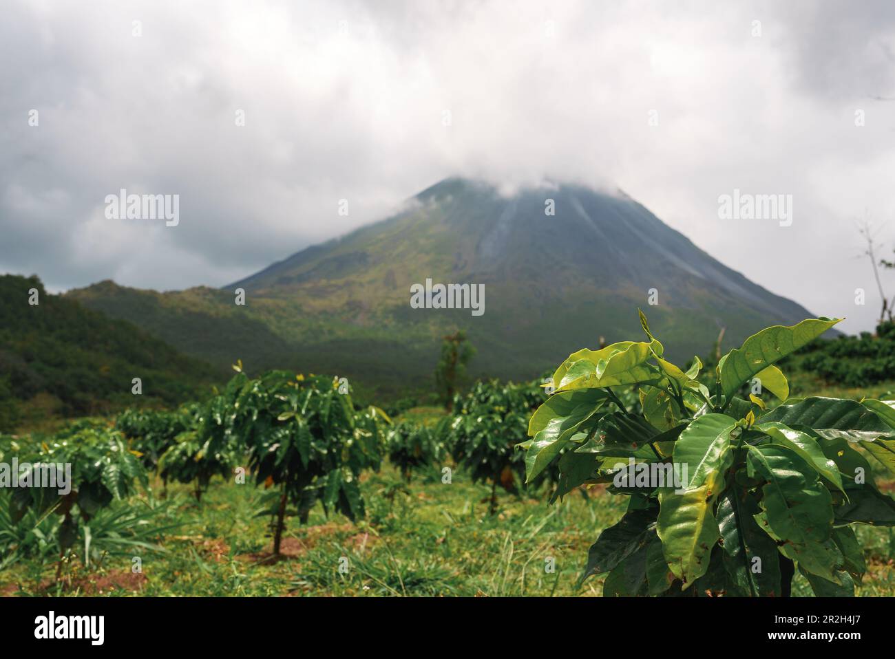 Volcan Arenal domina il paesaggio durante il tramonto, come visto dal Monteverde Foto Stock