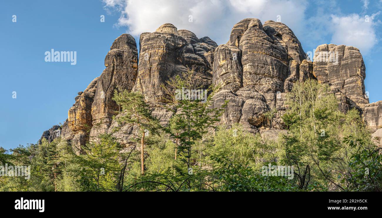 Schrammsteine visto dal basso, Svizzera sassone, Sassonia, Svizzera Foto Stock