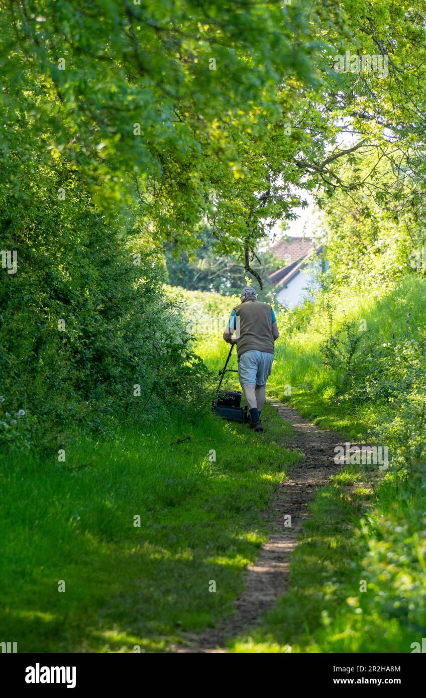 Uomo che falcia erba pubblica percorso in Inghilterra in primavera Foto Stock