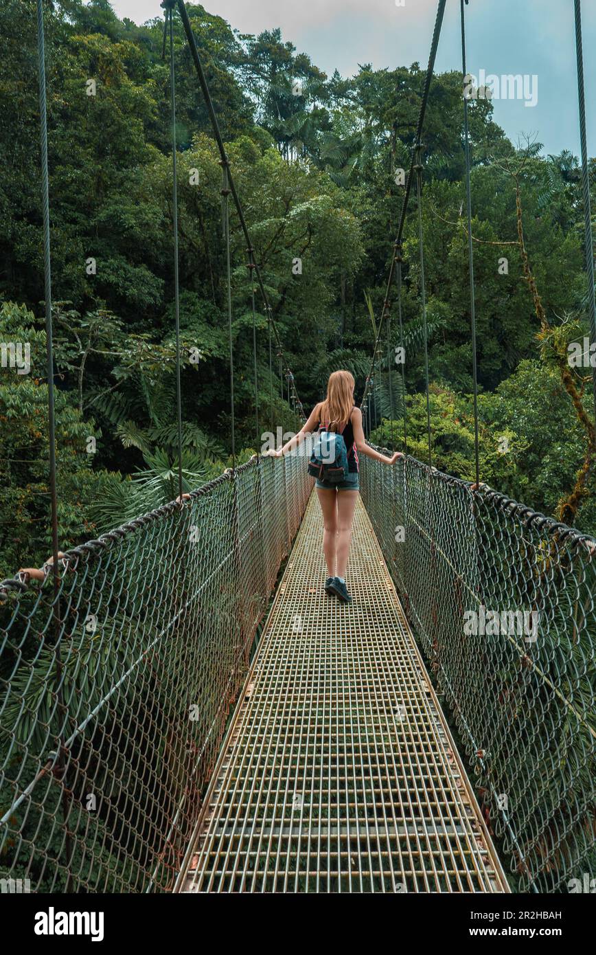 Escursioni nel verde giungla tropicale, Costa Rica, America Centrale Foto Stock