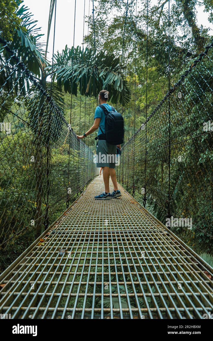 Escursioni nel verde giungla tropicale, Costa Rica, America Centrale Foto Stock
