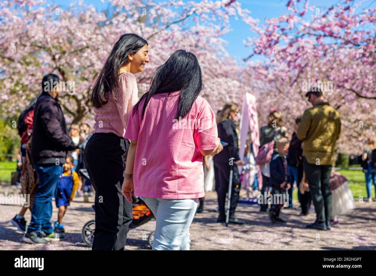 Le persone che visitano la fioritura primaverile dei ciliegi al cimitero di Bispegjerg a Copenaghen, Danimarca Foto Stock